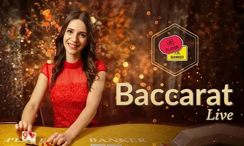 Bingoplus Sports Betting